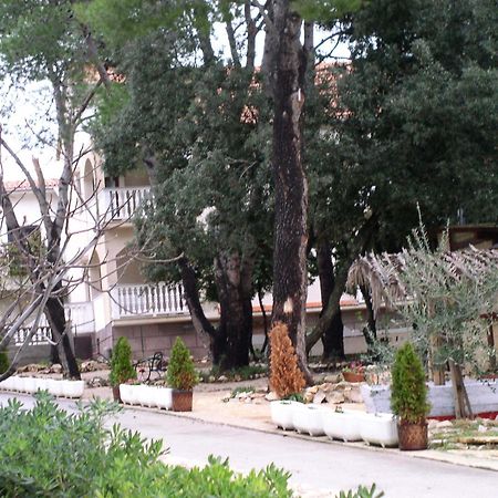 Apartments Stanko Petrčane Exterior foto